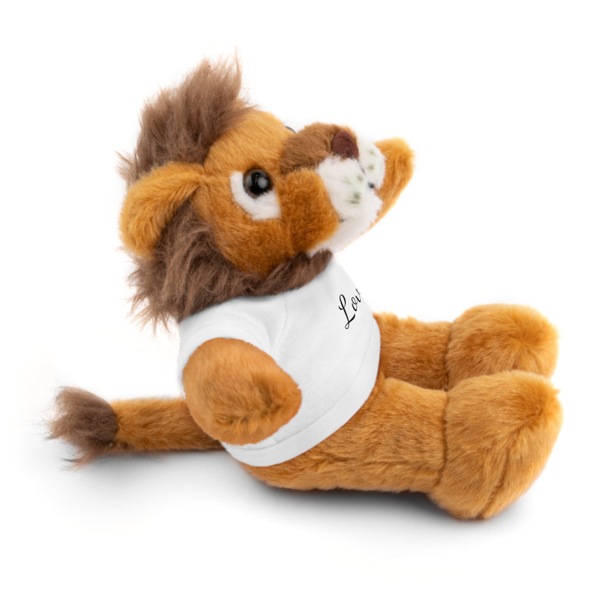 Heartwarming Plush Toy