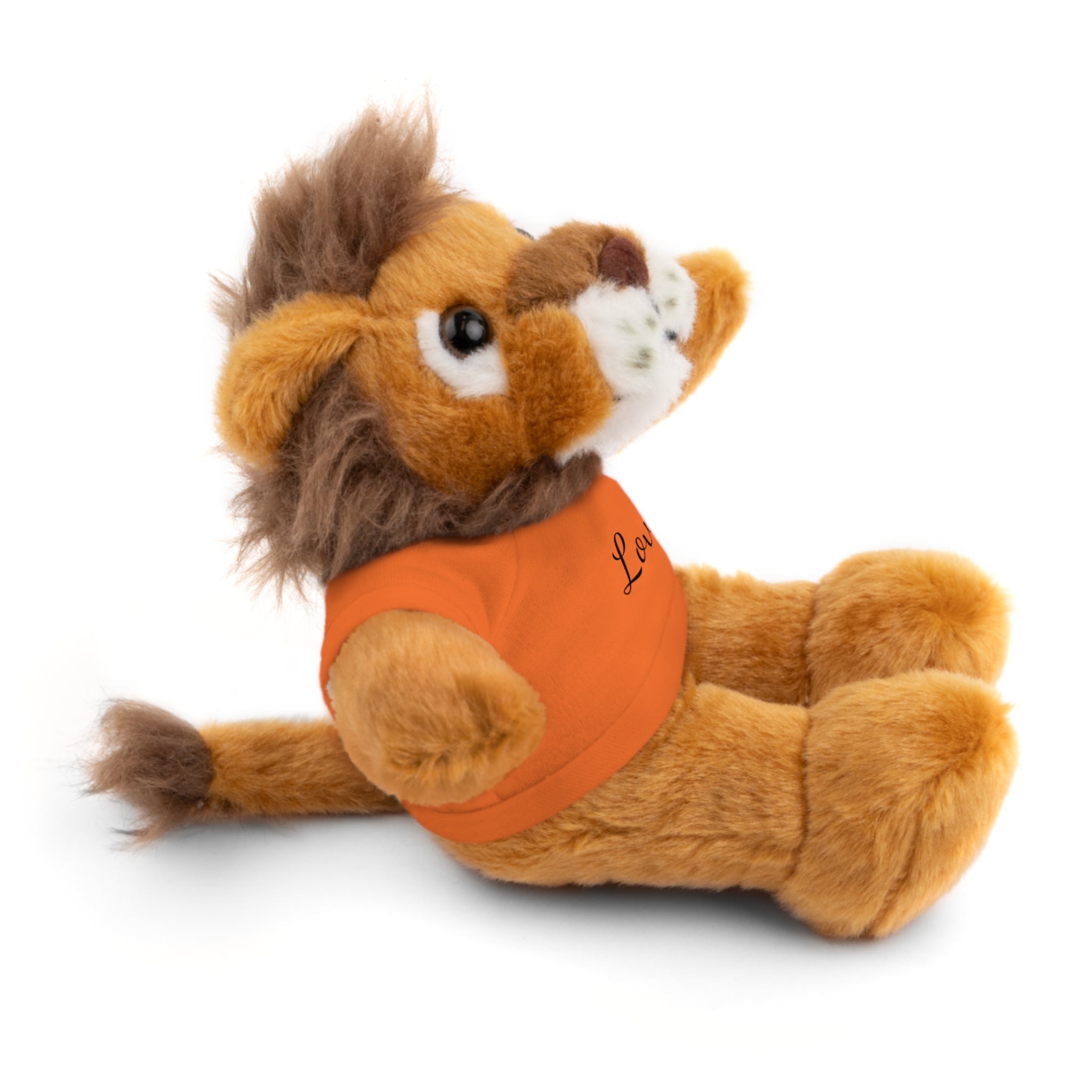 Heartwarming Plush Toy