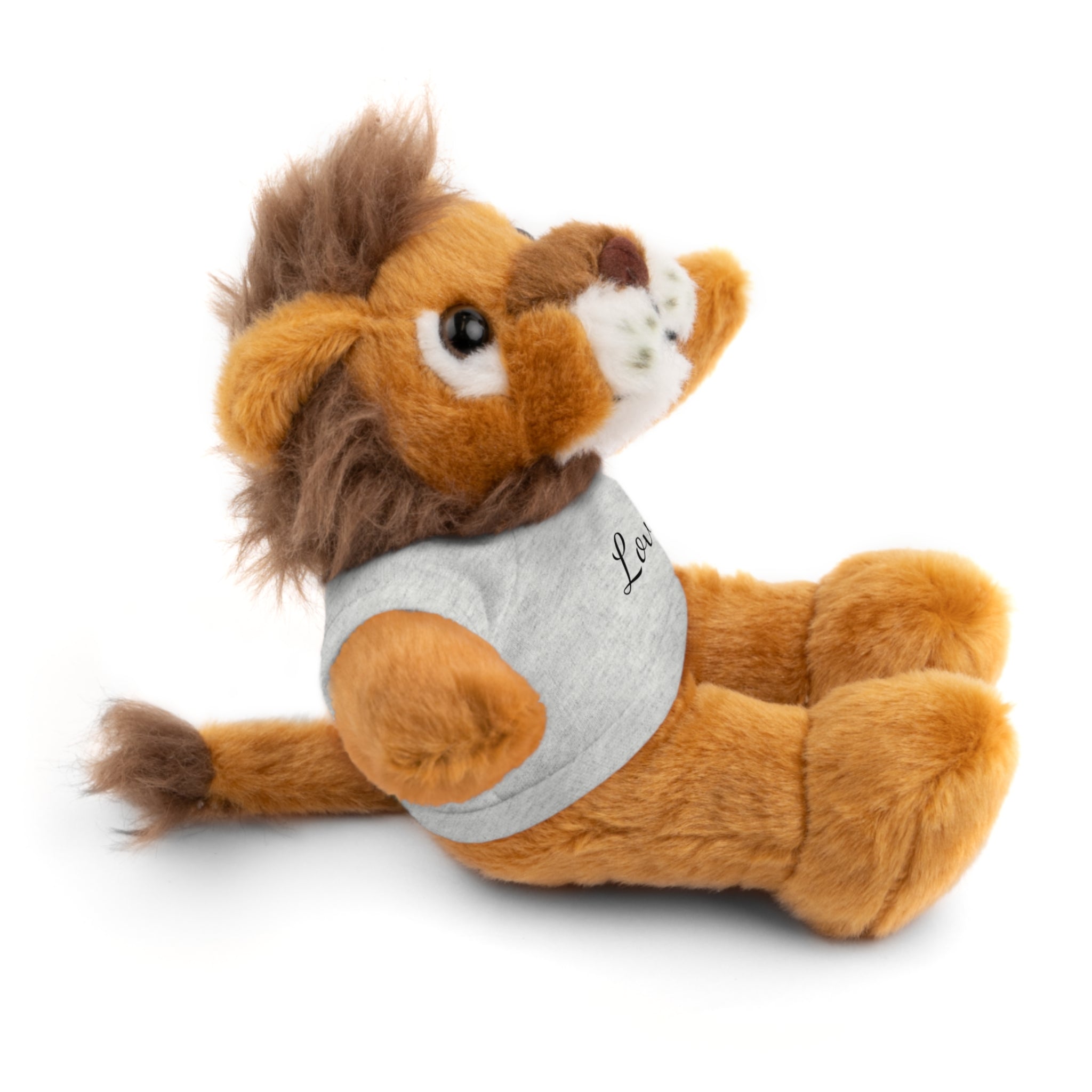 Heartwarming Plush Toy