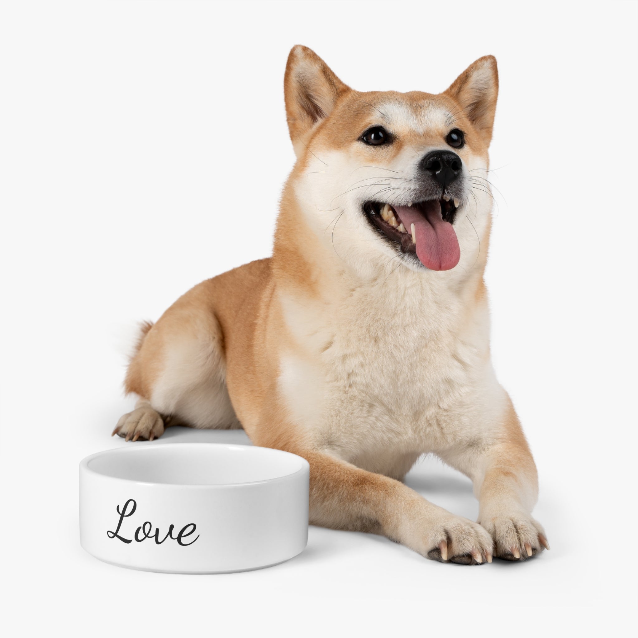 Unique Pet Bowl