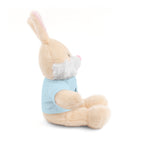 Heartwarming Plush Toy