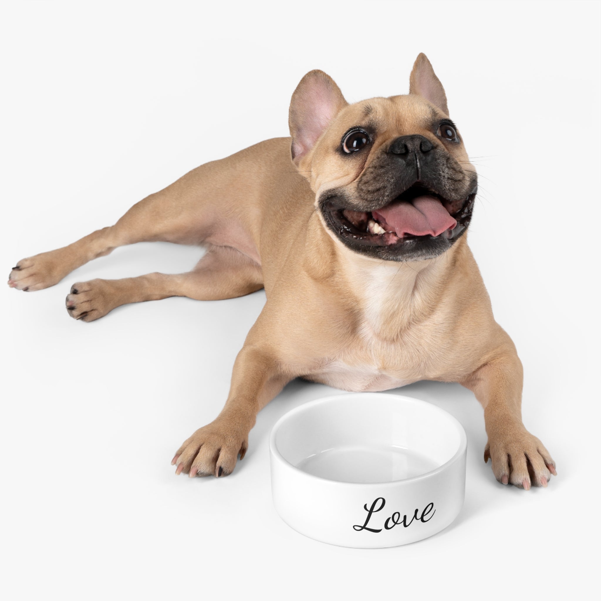 Unique Pet Bowl